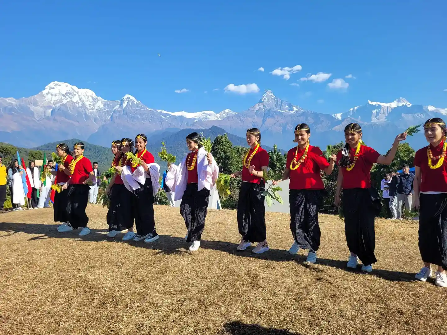 Students collaborating